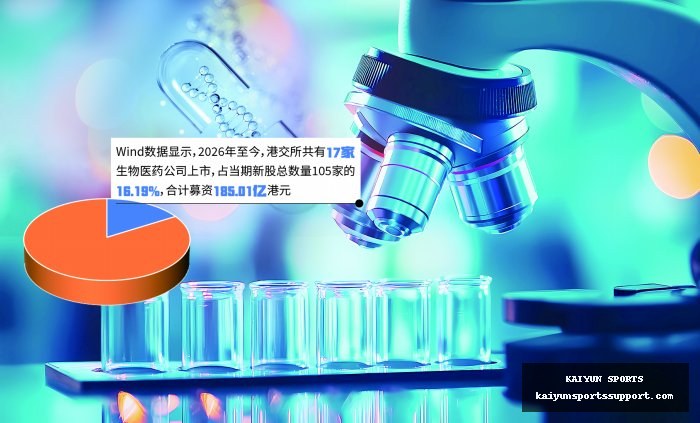 :情侣冲突中的界限难题,如何应对伴侣出轨与暴力危机