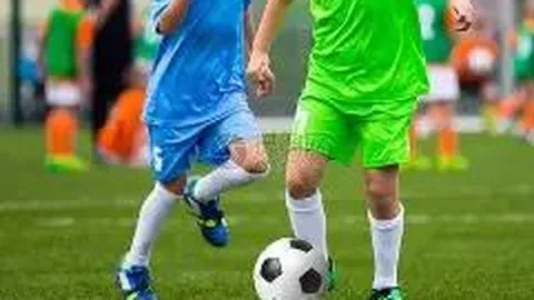 KAIYUN SPORTS 资讯 083056 lr6