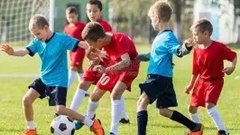 KAIYUN SPORTS 资讯 083052 mpg