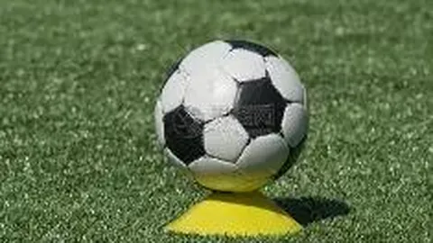 伤病是篮球常态，斯普利特力求挖掘球队潜力