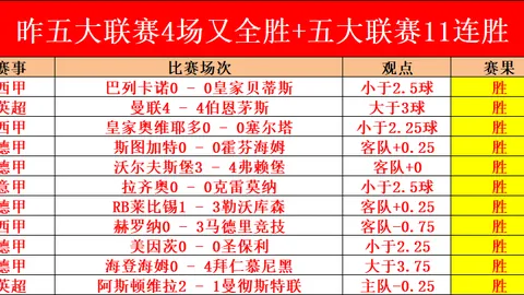 KAIYUN SPORTS 产品 083019 ynx