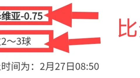 切尔西评估恩佐处罚反应，盼其重返球队